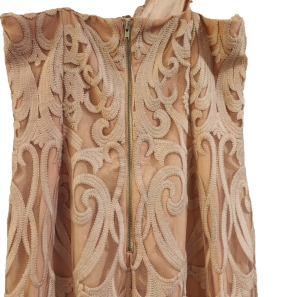 Bardot S 6 Gia Lace Pencil Midi Dress Spaghetti Strap Latte Pink Embroidered - Picture 4 of 12